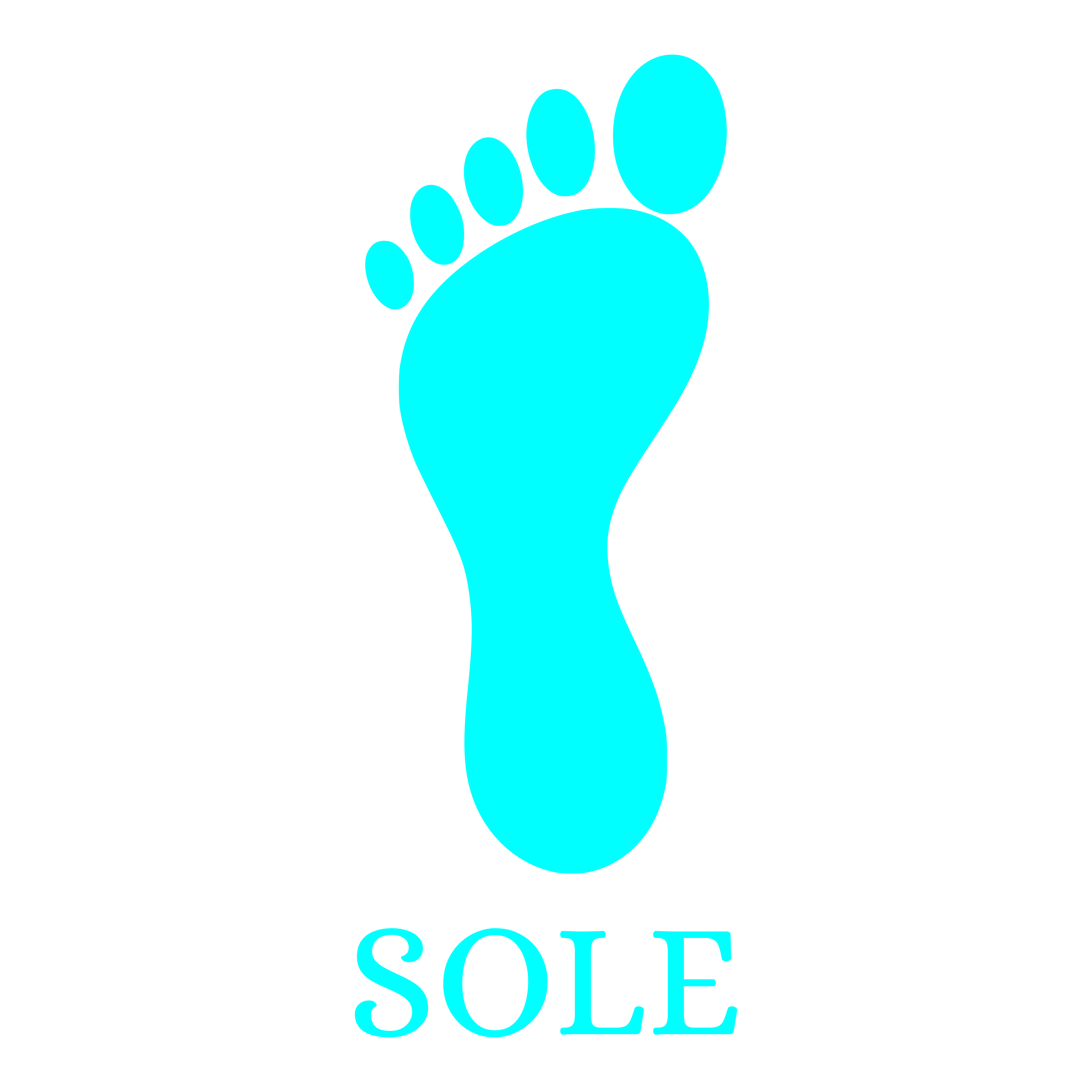 Sole Computer