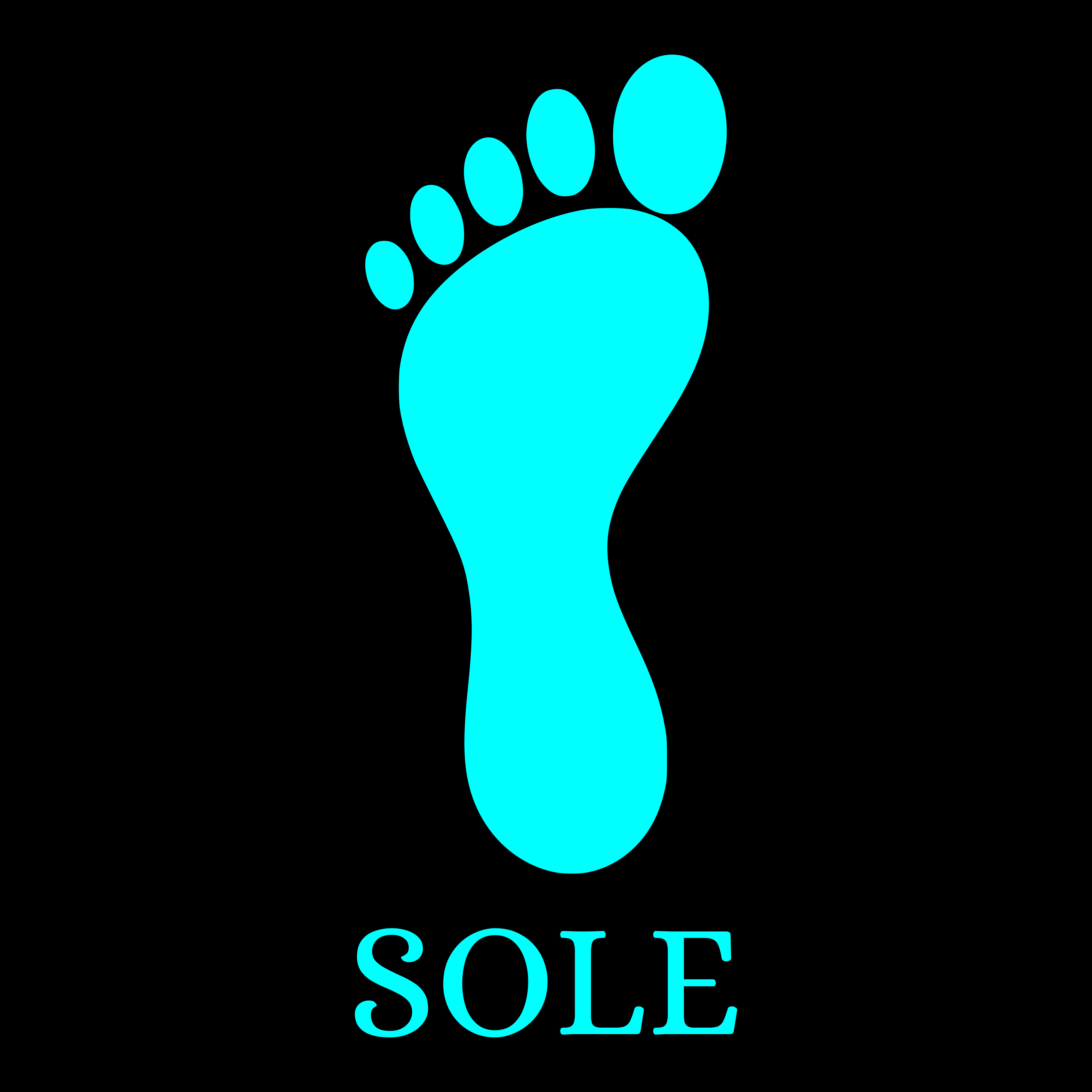 Sole Computer Logo